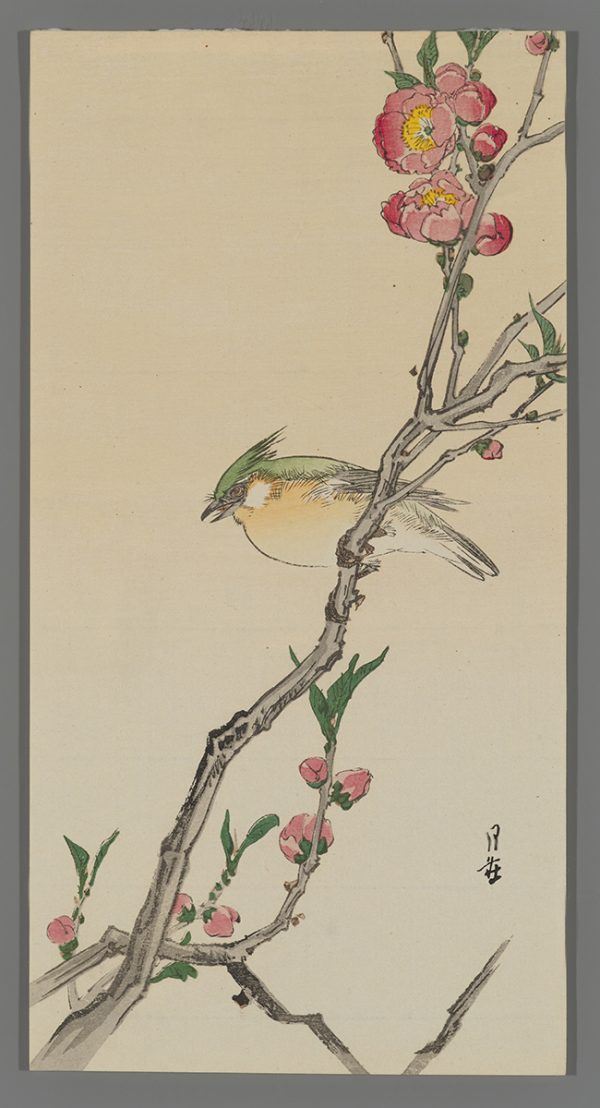 Bird on a Blossoming Branch Gesso