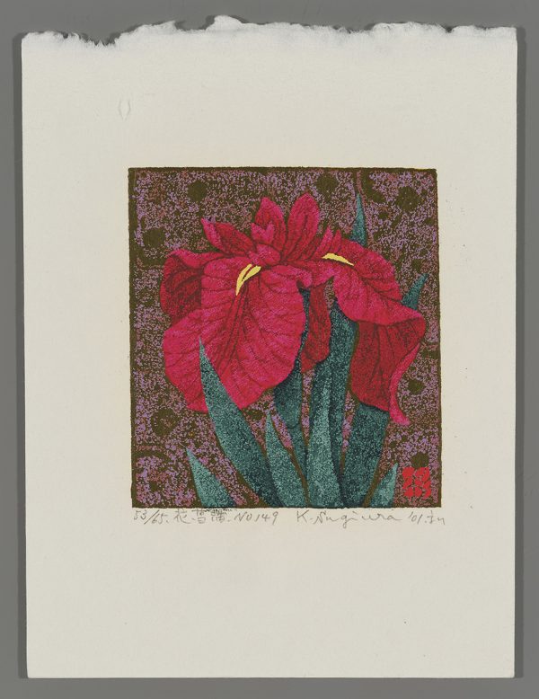 Flowering Iris No. 149 Sugiura
