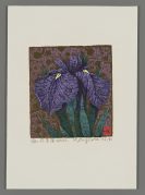 Flowering Iris No. 152