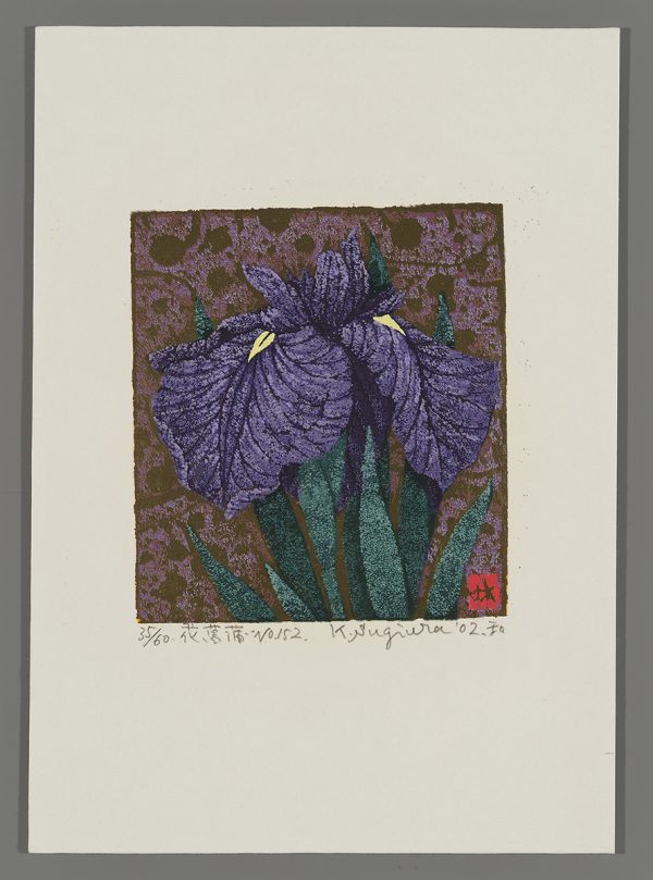 Flowering Iris No. 152 Sugiura