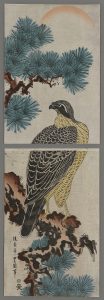 Falcon on a Pine Brance Toyoshige