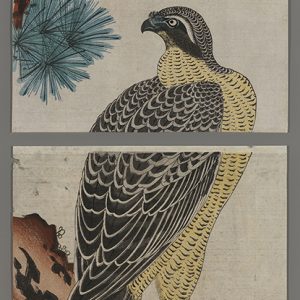 Falcon on a Pine Brance Toyoshige