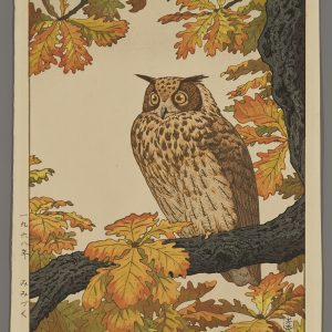 Eagle Owl Yoshida