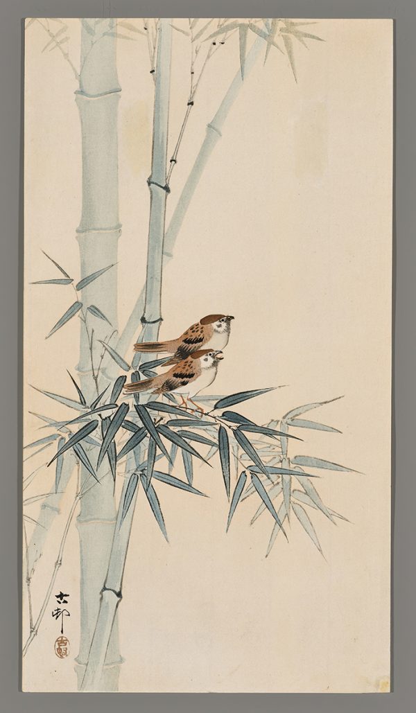 Two Tree Sparrows Between Bamboo Koson