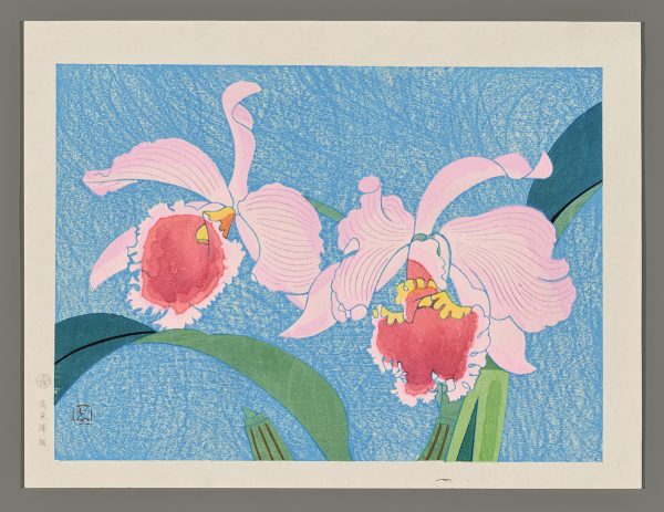 Irises Shinmei