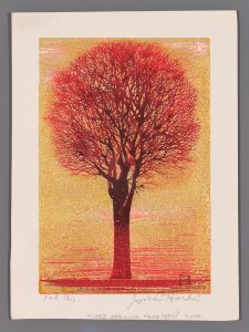 Evening Tree (red) Hoshi