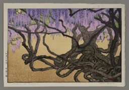 Wisteria at Ushiyama (unframed)