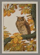 Eagle Owl (unframed)