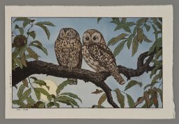 Two Owls