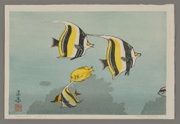 Hawaiian Fishes, A