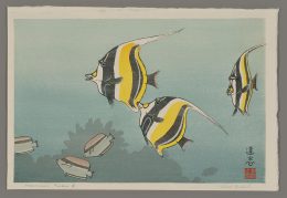 Hawaiian Fishes, B