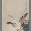 Wild Mallard Landing on Water; Another on the Shore Between the Rocks Koson