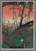 Plum Estate, Kameido